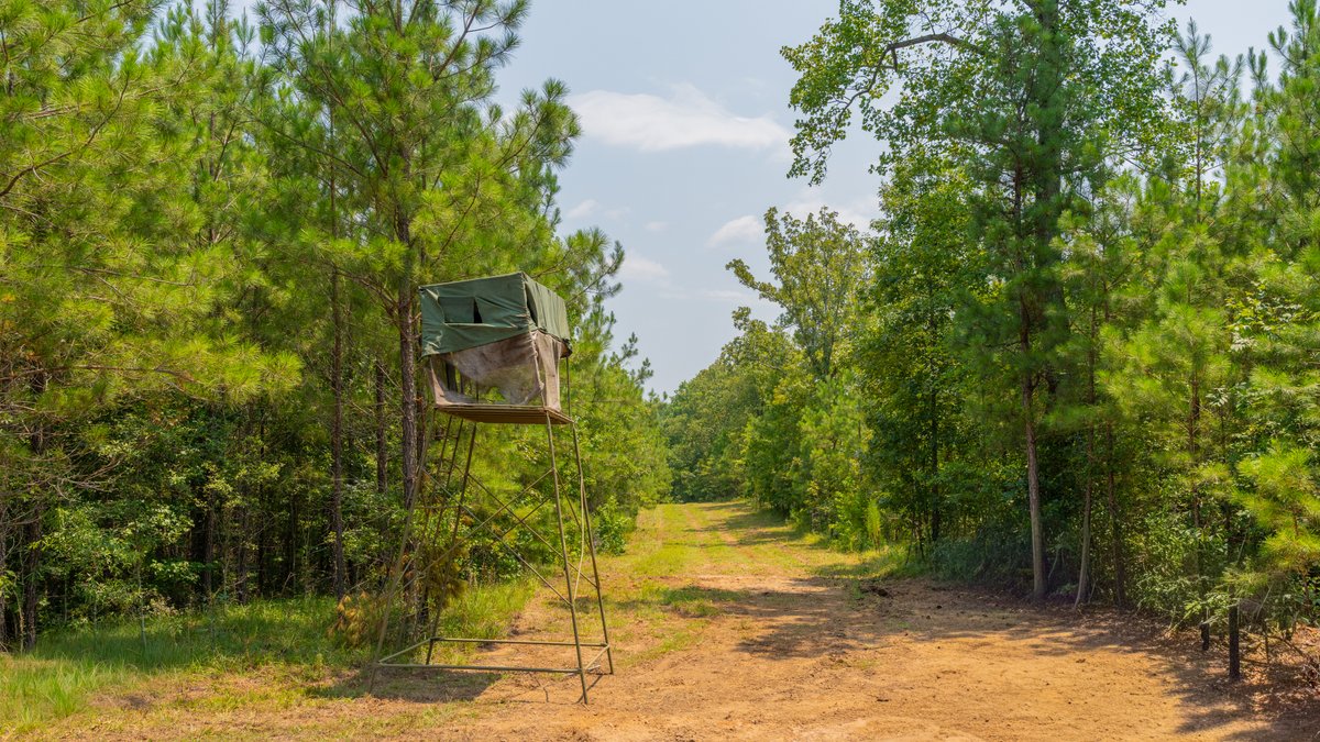 Image for The Martin Branch Retreat - 227± Acres - Crawford County, Georgia - Exceptional Hunting, Homesite Opportunities & Timber Investment