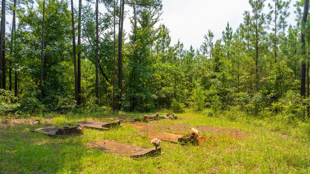 Image for The Martin Branch Retreat - 227± Acres - Crawford County, Georgia - Exceptional Hunting, Homesite Opportunities & Timber Investment