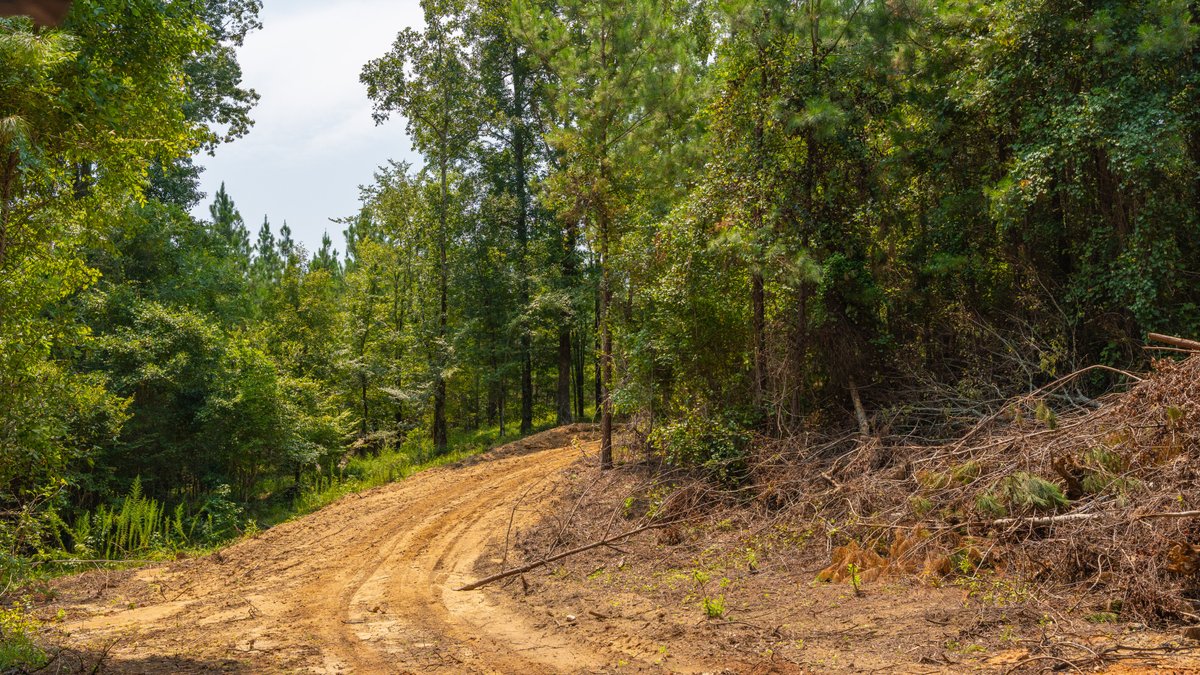 Image for The Martin Branch Retreat - 227± Acres - Crawford County, Georgia - Exceptional Hunting, Homesite Opportunities & Timber Investment