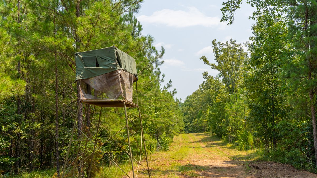 Image for The Martin Branch Retreat - 227± Acres - Crawford County, Georgia - Exceptional Hunting, Homesite Opportunities & Timber Investment
