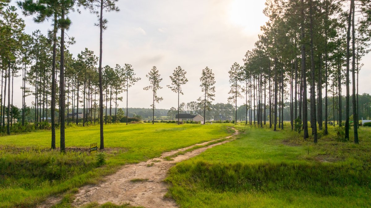 Image for Hilltop Homesite - Ready to Build - Colquitt County, Georgia