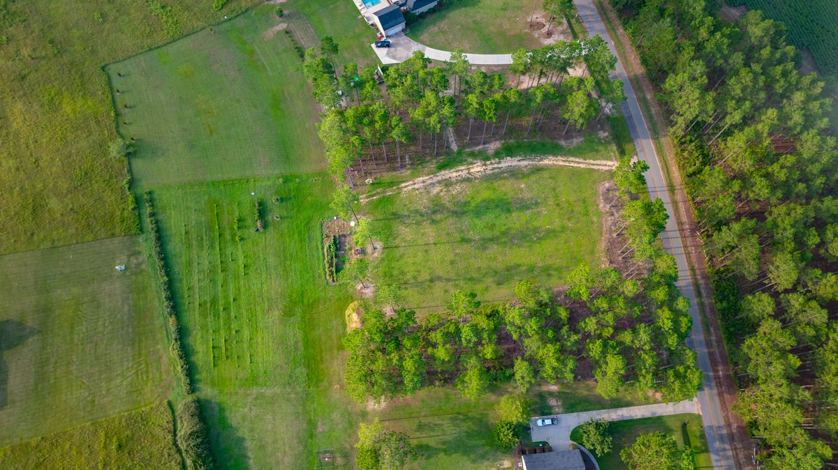 Image for Hilltop Homesite - Ready to Build - Colquitt County, Georgia