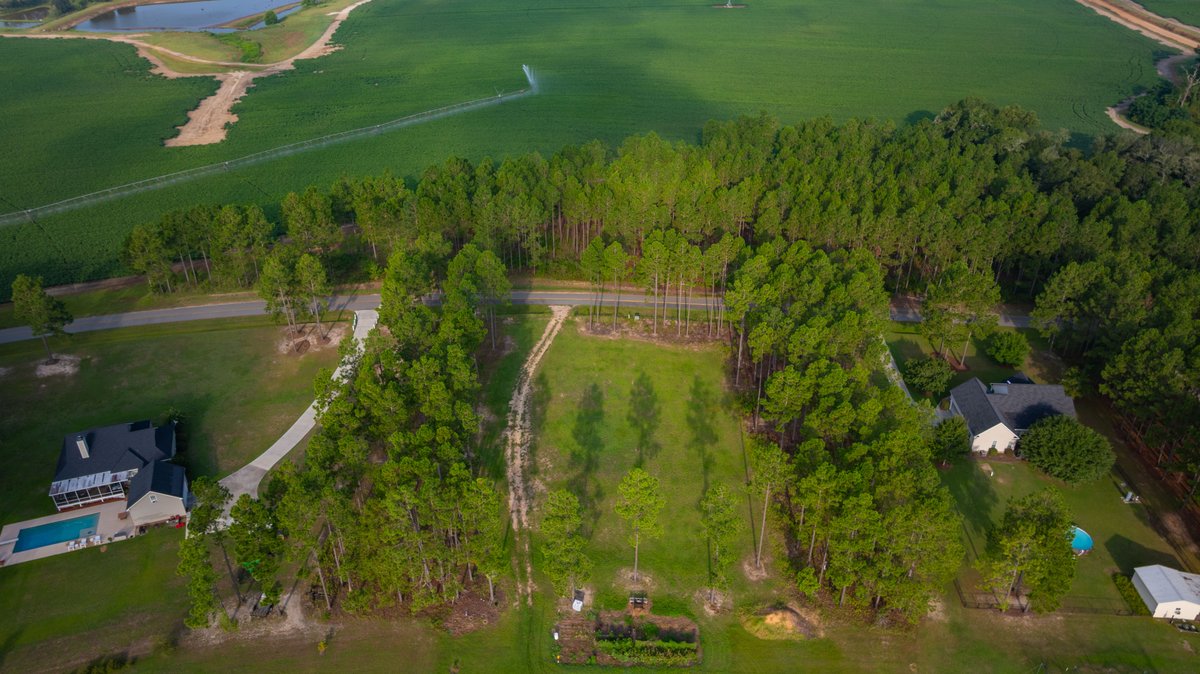 Image for Hilltop Homesite - Ready to Build - Colquitt County, Georgia