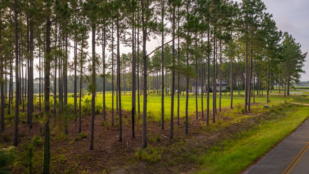 Image for Hilltop Homesite - Ready to Build - Colquitt County, Georgia