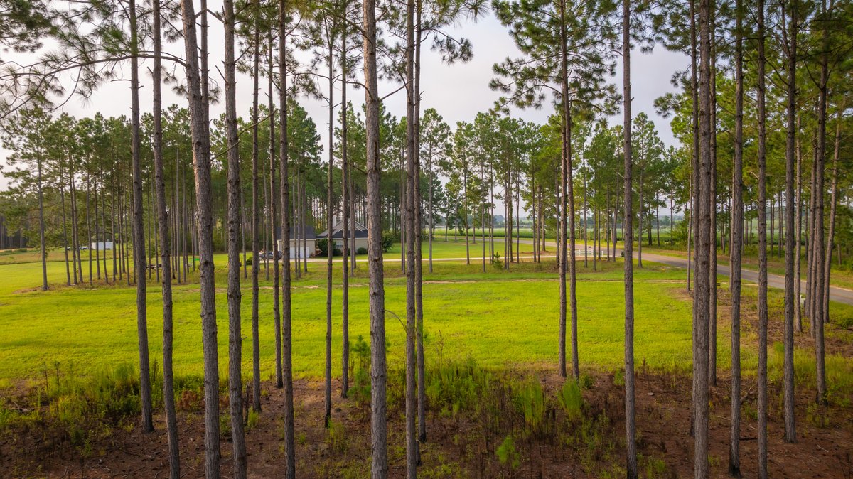 Image for Hilltop Homesite - Ready to Build - Colquitt County, Georgia