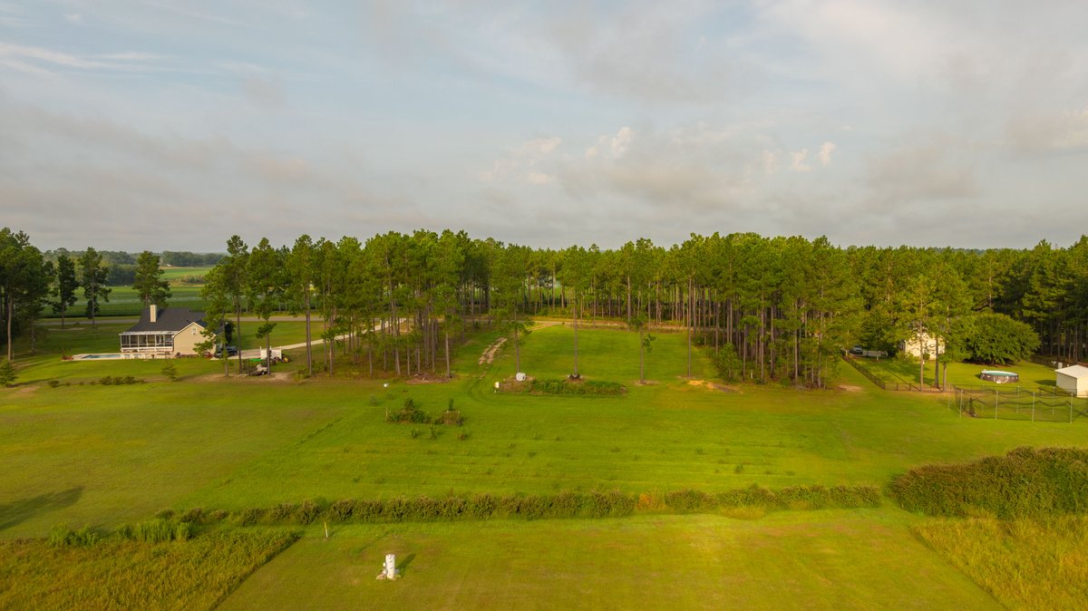 Image for Hilltop Homesite - Ready to Build - Colquitt County, Georgia