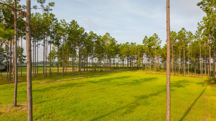 Image for Hilltop Homesite - Ready to Build - Colquitt County, Georgia