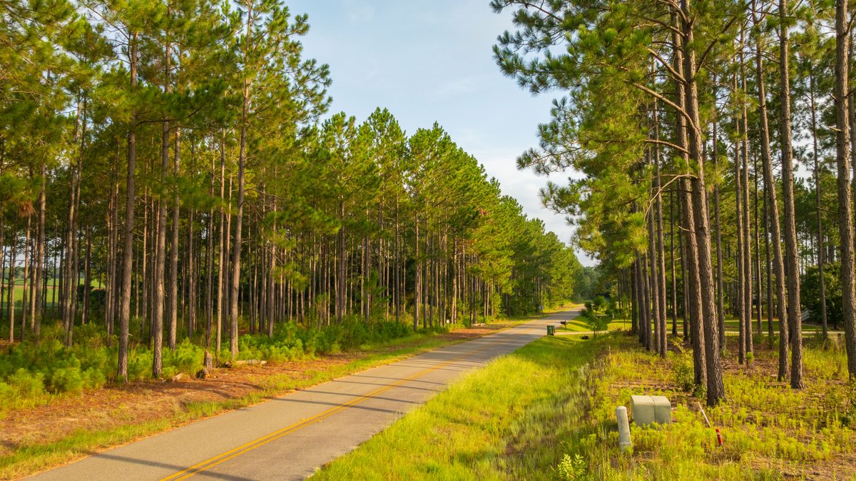 Image for Hilltop Homesite - Ready to Build - Colquitt County, Georgia