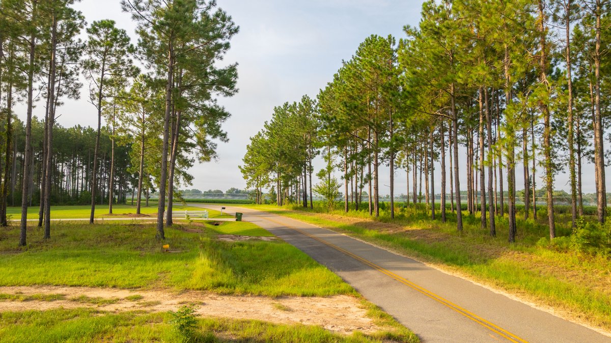 Image for Hilltop Homesite - Ready to Build - Colquitt County, Georgia