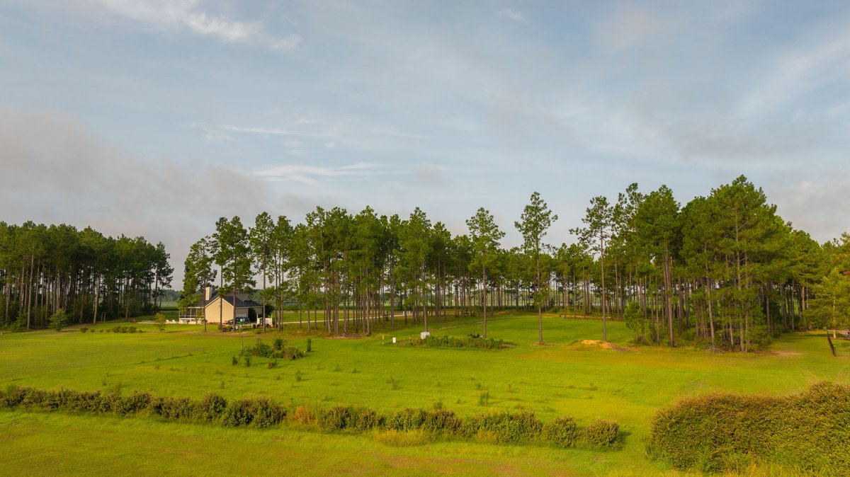 Image for Hilltop Homesite - Ready to Build - Colquitt County, Georgia
