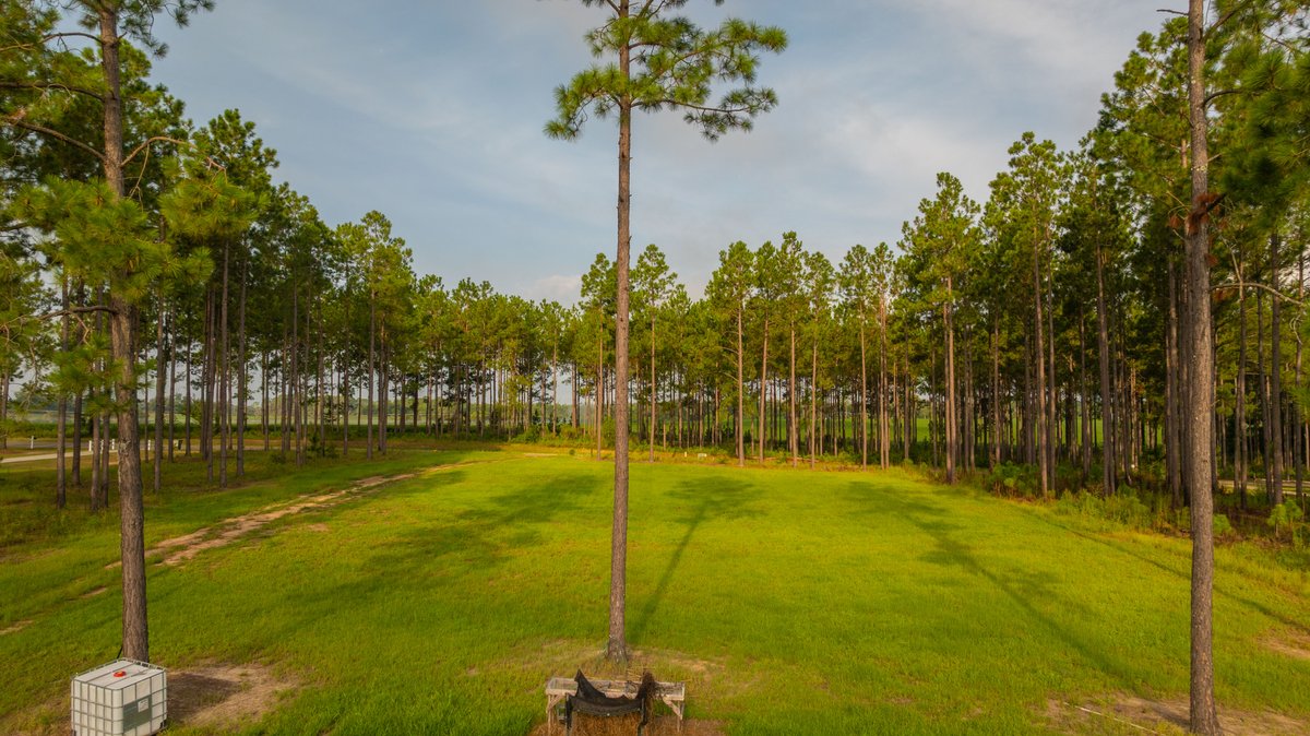 Image for Hilltop Homesite - Ready to Build - Colquitt County, Georgia