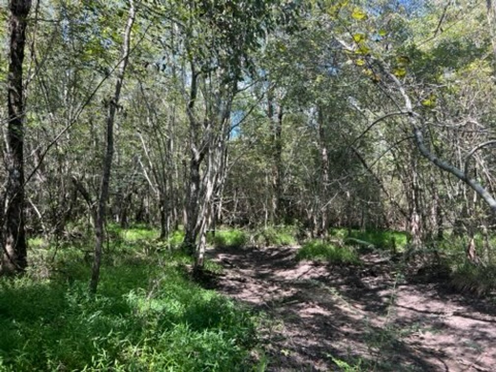 Image for The Moore Farm - 258± Acres - Row Crop Farmland, Timber, Creek Bottoms, & Food Plots - Premier Recreational Tracts w/ Improvements
