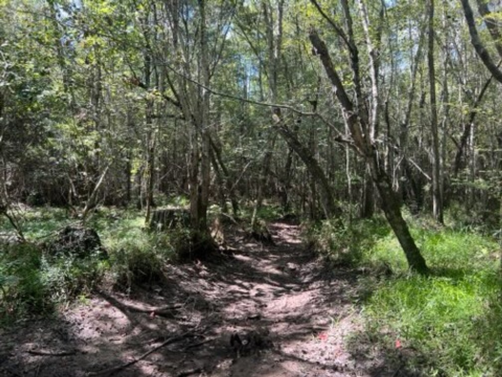Image for The Moore Farm - 258± Acres - Row Crop Farmland, Timber, Creek Bottoms, & Food Plots - Premier Recreational Tracts w/ Improvements