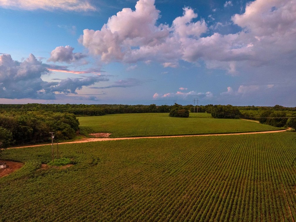 Image for The Moore Farm - 258± Acres - Row Crop Farmland, Timber, Creek Bottoms, & Food Plots - Premier Recreational Tracts w/ Improvements