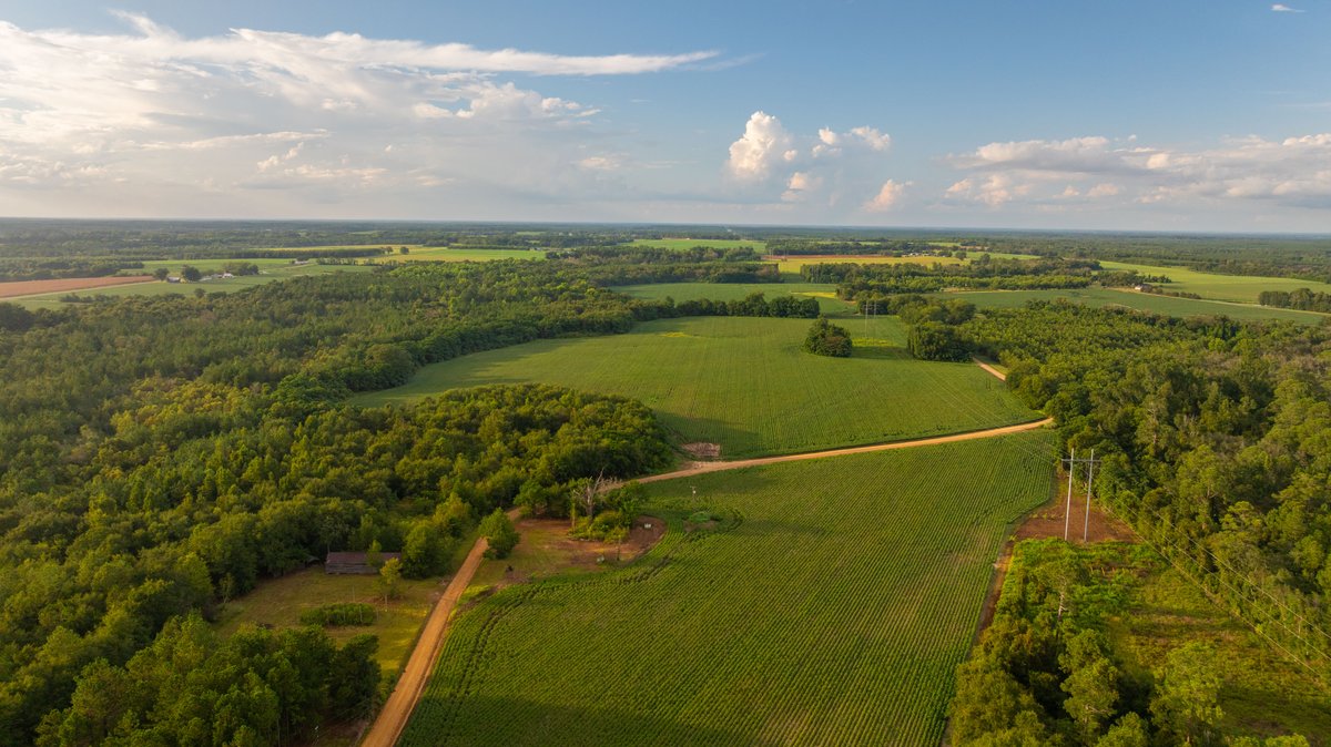 Image for The Moore Farm - 258± Acres - Row Crop Farmland, Timber, Creek Bottoms, & Food Plots - Premier Recreational Tracts w/ Improvements