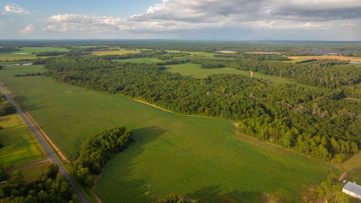 Image for The Moore Farm - 258± Acres - Row Crop Farmland, Timber, Creek Bottoms, & Food Plots - Premier Recreational Tracts w/ Improvements
