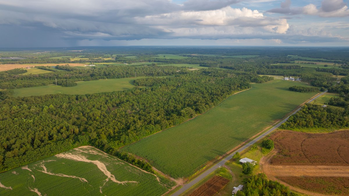 Image for The Moore Farm - 258± Acres - Row Crop Farmland, Timber, Creek Bottoms, & Food Plots - Premier Recreational Tracts w/ Improvements