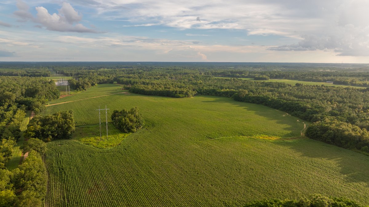Image for The Moore Farm - 258± Acres - Row Crop Farmland, Timber, Creek Bottoms, & Food Plots - Premier Recreational Tracts w/ Improvements