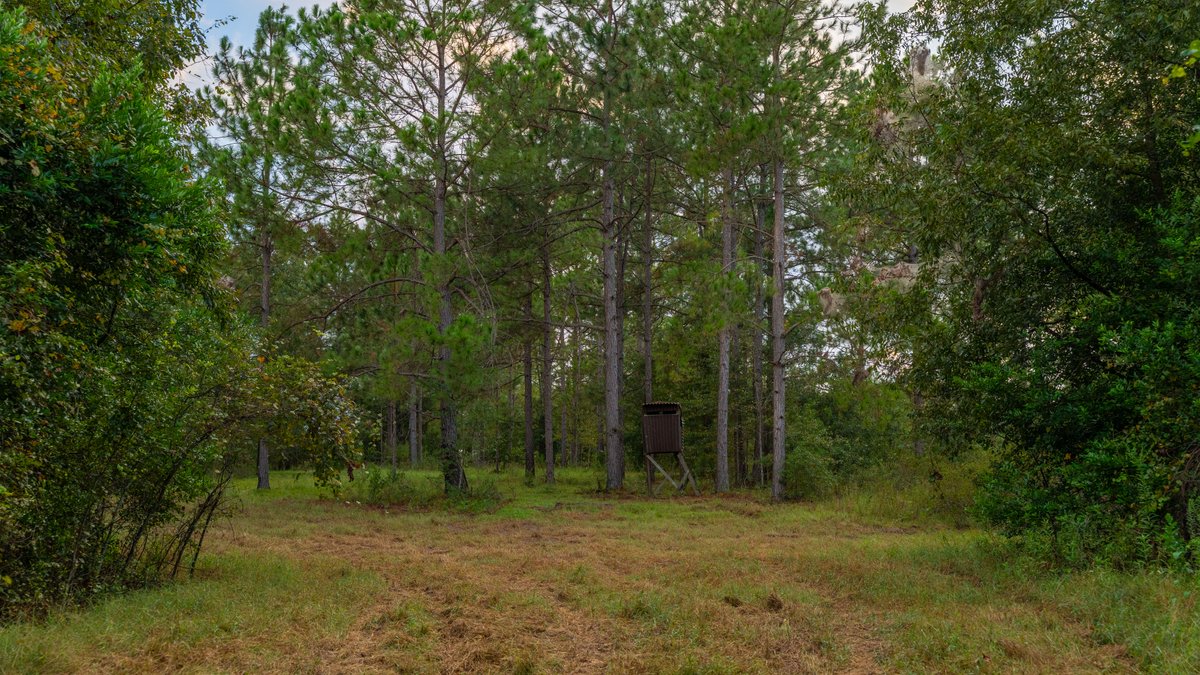 Image for The Moore Farm - 258± Acres - Row Crop Farmland, Timber, Creek Bottoms, & Food Plots - Premier Recreational Tracts w/ Improvements