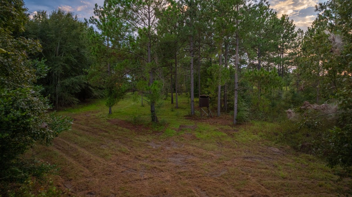 Image for The Moore Farm - 258± Acres - Row Crop Farmland, Timber, Creek Bottoms, & Food Plots - Premier Recreational Tracts w/ Improvements