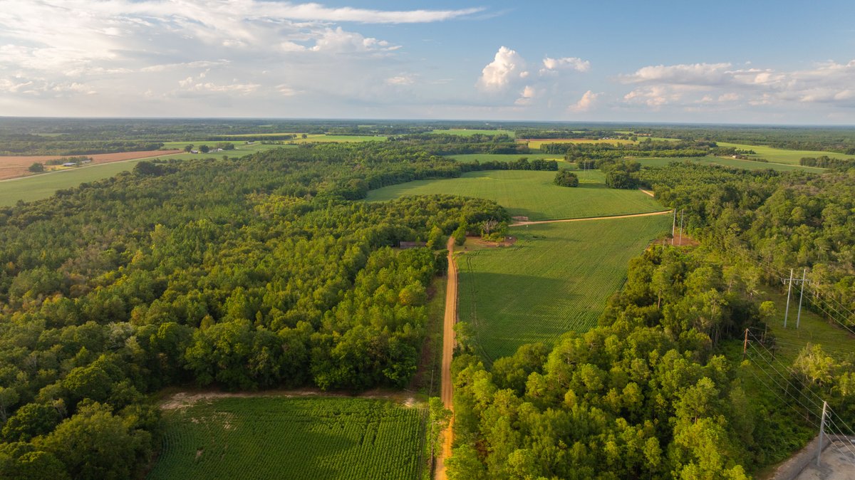 Image for The Moore Farm - 258± Acres - Row Crop Farmland, Timber, Creek Bottoms, & Food Plots - Premier Recreational Tracts w/ Improvements