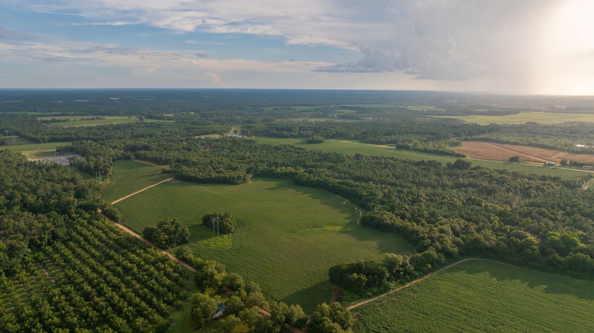 Image for The Moore Farm - 258± Acres - Row Crop Farmland, Timber, Creek Bottoms, & Food Plots - Premier Recreational Tracts w/ Improvements