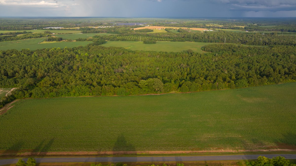 Image for The Moore Farm - 258± Acres - Row Crop Farmland, Timber, Creek Bottoms, & Food Plots - Premier Recreational Tracts w/ Improvements