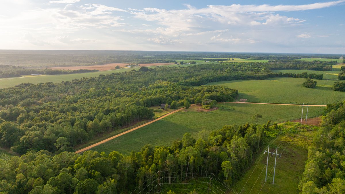 Image for The Moore Farm - 258± Acres - Row Crop Farmland, Timber, Creek Bottoms, & Food Plots - Premier Recreational Tracts w/ Improvements