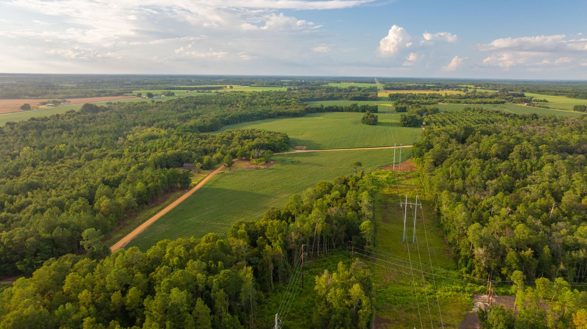 Image for The Moore Farm - 258± Acres - Row Crop Farmland, Timber, Creek Bottoms, & Food Plots - Premier Recreational Tracts w/ Improvements