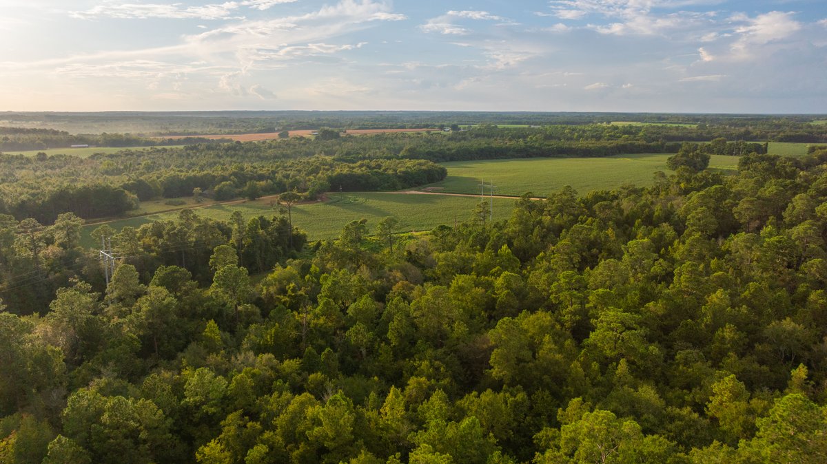 Image for The Moore Farm - 258± Acres - Row Crop Farmland, Timber, Creek Bottoms, & Food Plots - Premier Recreational Tracts w/ Improvements