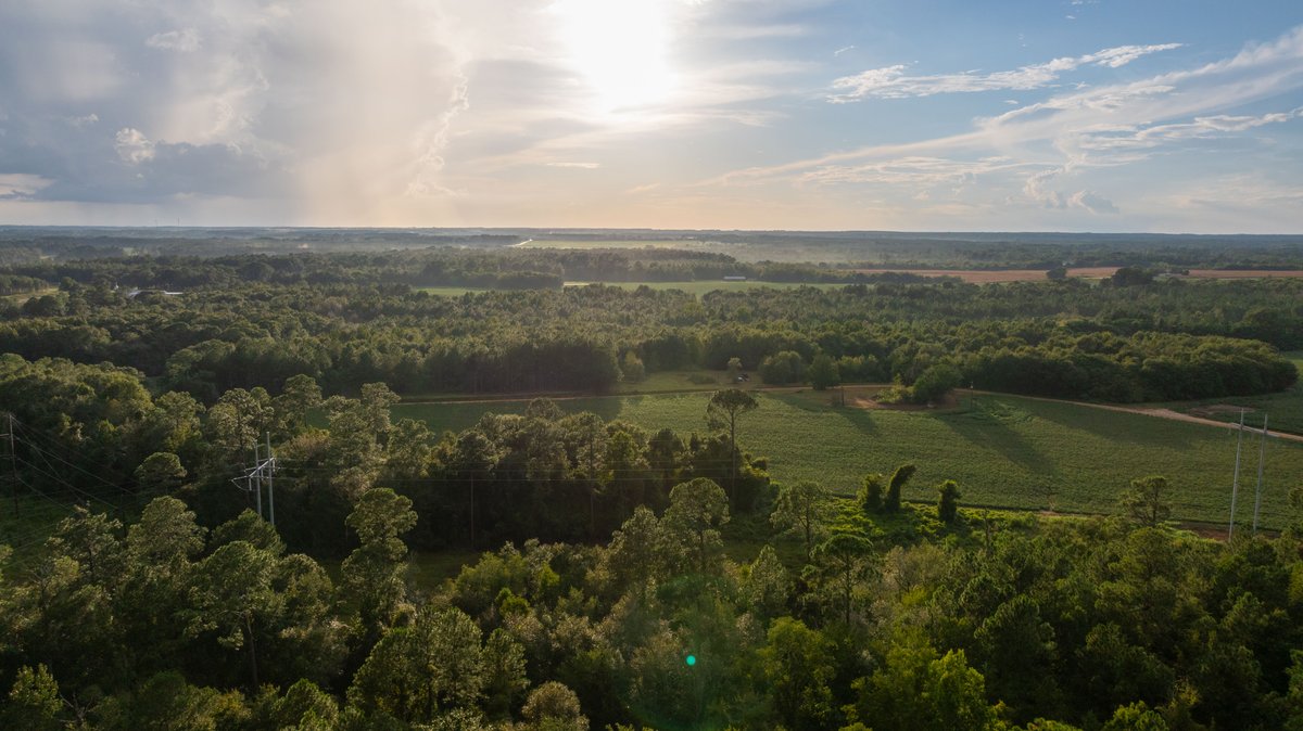 Image for The Moore Farm - 258± Acres - Row Crop Farmland, Timber, Creek Bottoms, & Food Plots - Premier Recreational Tracts w/ Improvements