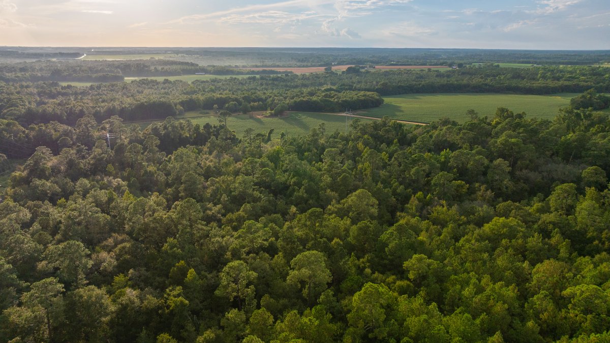 Image for The Moore Farm - 258± Acres - Row Crop Farmland, Timber, Creek Bottoms, & Food Plots - Premier Recreational Tracts w/ Improvements