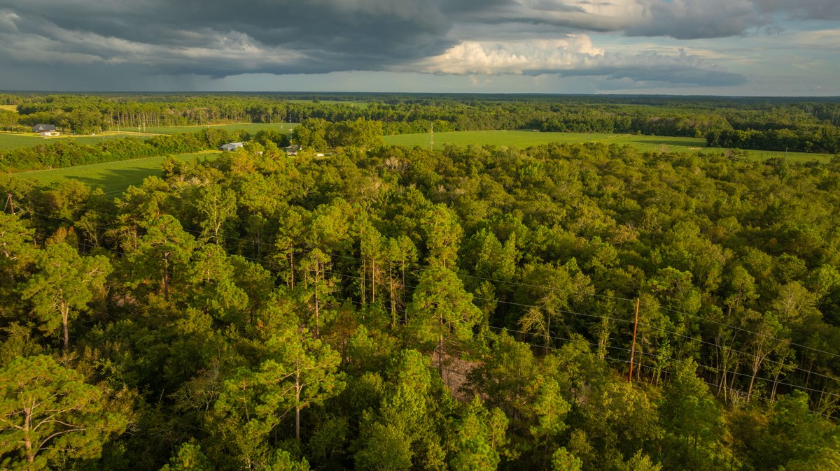 Image for The Moore Farm - 258± Acres - Row Crop Farmland, Timber, Creek Bottoms, & Food Plots - Premier Recreational Tracts w/ Improvements