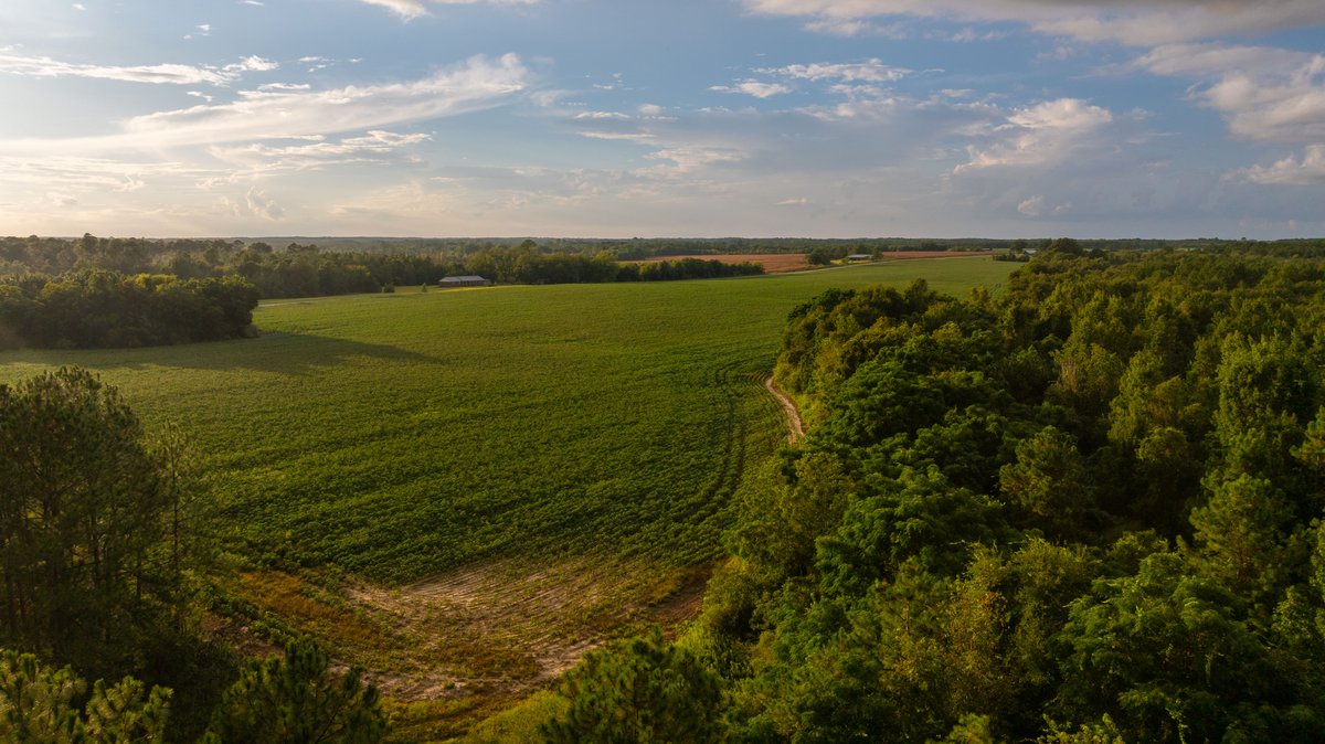 Image for The Moore Farm - 258± Acres - Row Crop Farmland, Timber, Creek Bottoms, & Food Plots - Premier Recreational Tracts w/ Improvements