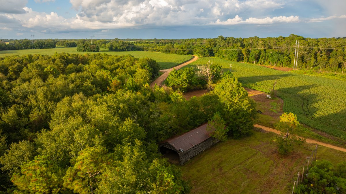 Image for The Moore Farm - 258± Acres - Row Crop Farmland, Timber, Creek Bottoms, & Food Plots - Premier Recreational Tracts w/ Improvements