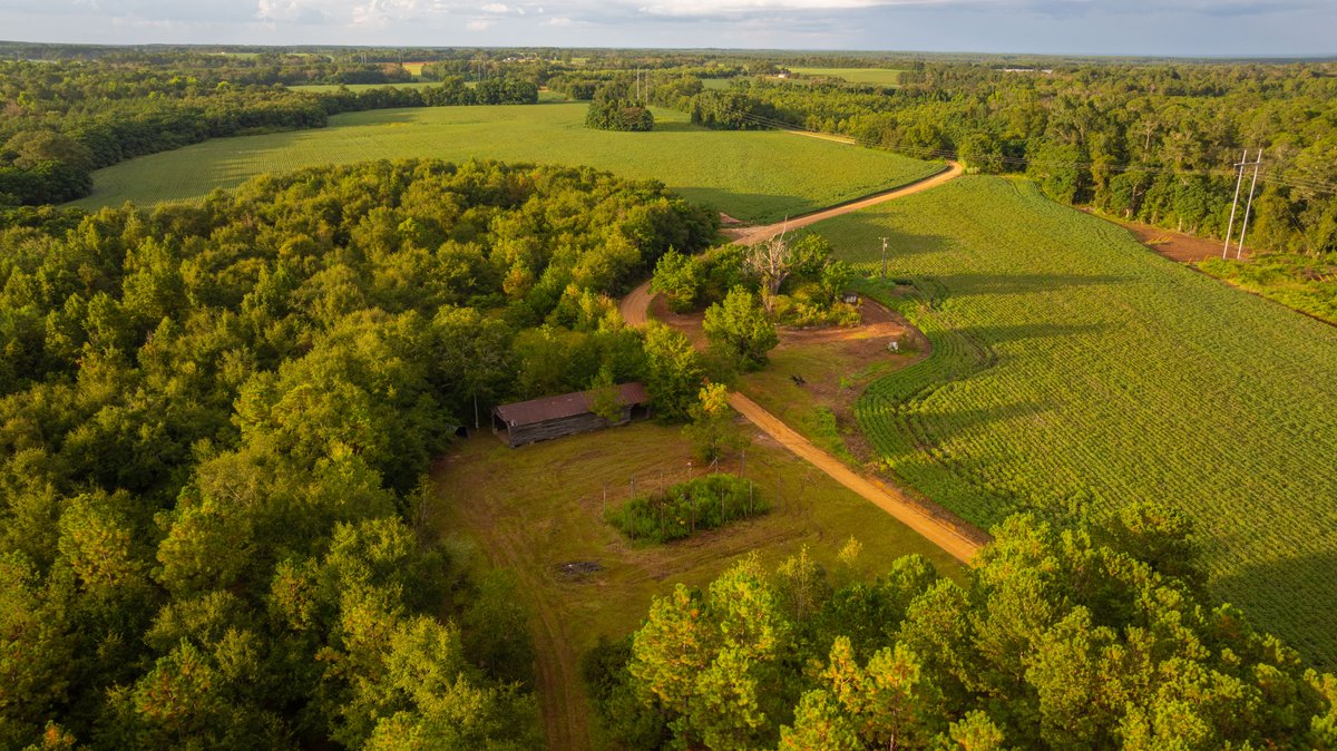 Image for The Moore Farm - 258± Acres - Row Crop Farmland, Timber, Creek Bottoms, & Food Plots - Premier Recreational Tracts w/ Improvements