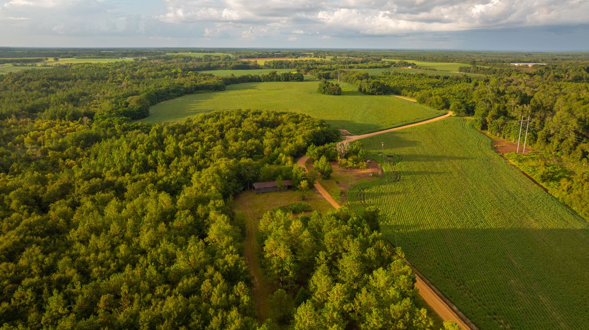 Image for The Moore Farm - 258± Acres - Row Crop Farmland, Timber, Creek Bottoms, & Food Plots - Premier Recreational Tracts w/ Improvements