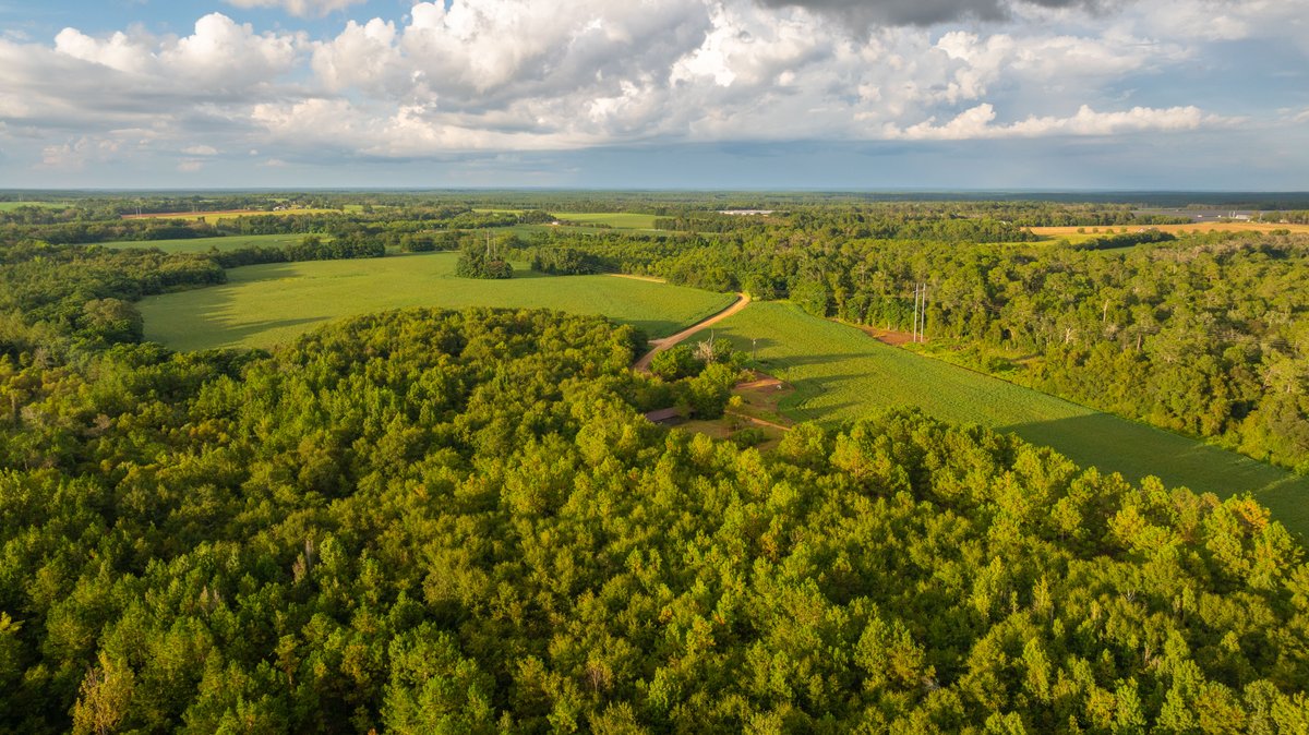 Image for The Moore Farm - 258± Acres - Row Crop Farmland, Timber, Creek Bottoms, & Food Plots - Premier Recreational Tracts w/ Improvements