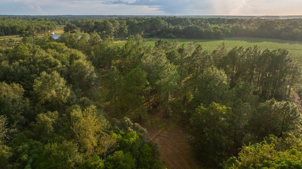 Image for The Moore Farm - 258± Acres - Row Crop Farmland, Timber, Creek Bottoms, & Food Plots - Premier Recreational Tracts w/ Improvements