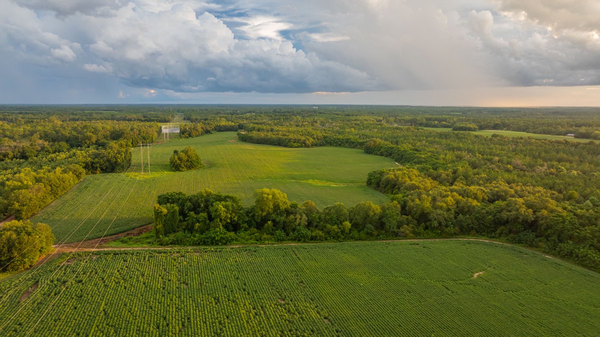 Image for The Moore Farm - 258± Acres - Row Crop Farmland, Timber, Creek Bottoms, & Food Plots - Premier Recreational Tracts w/ Improvements