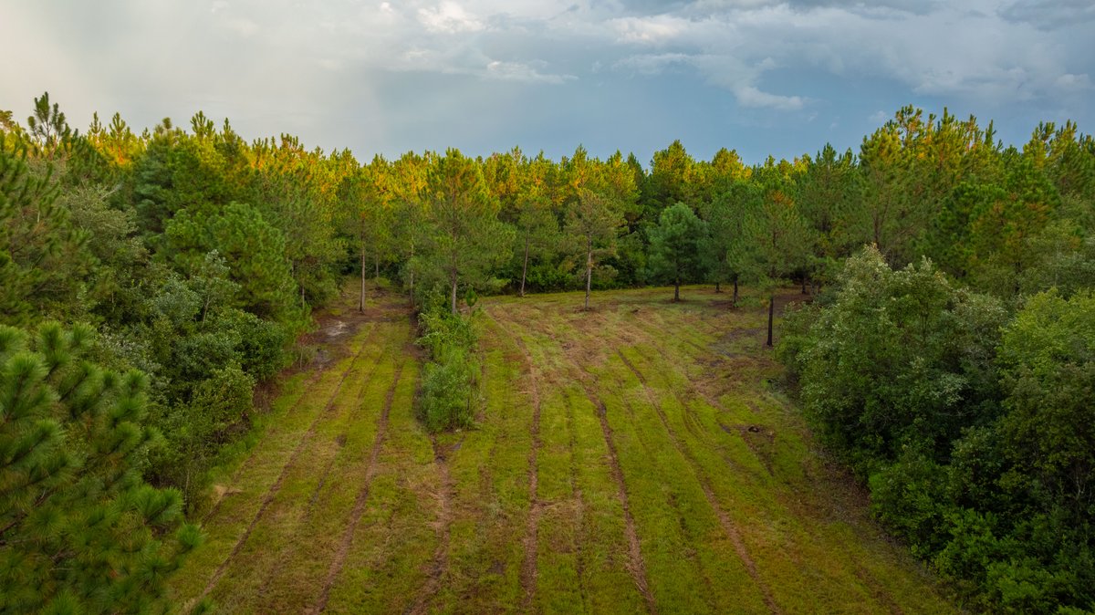 Image for The Moore Farm - 258± Acres - Row Crop Farmland, Timber, Creek Bottoms, & Food Plots - Premier Recreational Tracts w/ Improvements