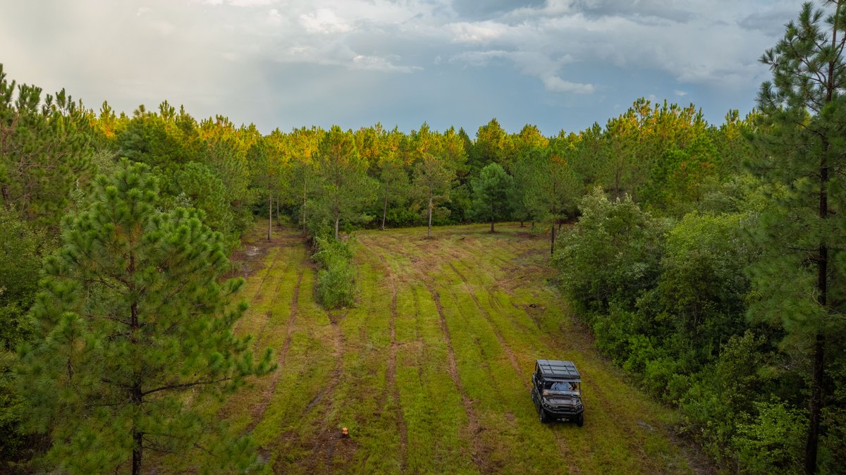 Image for The Moore Farm - 258± Acres - Row Crop Farmland, Timber, Creek Bottoms, & Food Plots - Premier Recreational Tracts w/ Improvements