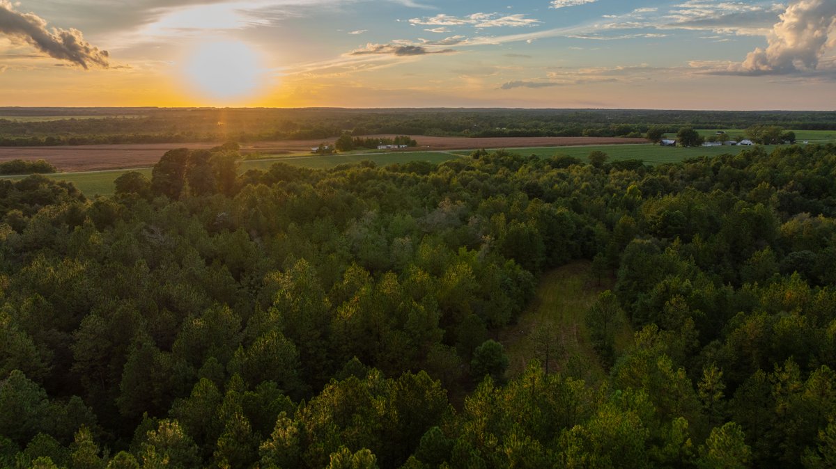 Image for The Moore Farm - 258± Acres - Row Crop Farmland, Timber, Creek Bottoms, & Food Plots - Premier Recreational Tracts w/ Improvements