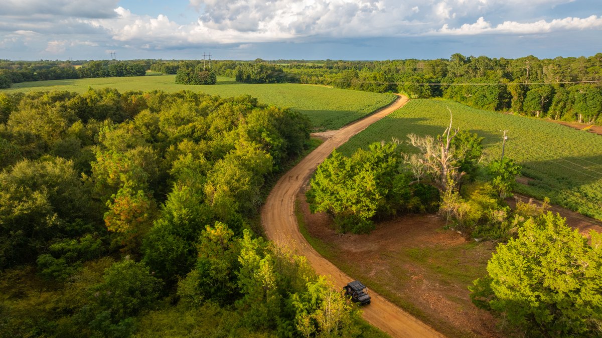 Image for The Moore Farm - 258± Acres - Row Crop Farmland, Timber, Creek Bottoms, & Food Plots - Premier Recreational Tracts w/ Improvements