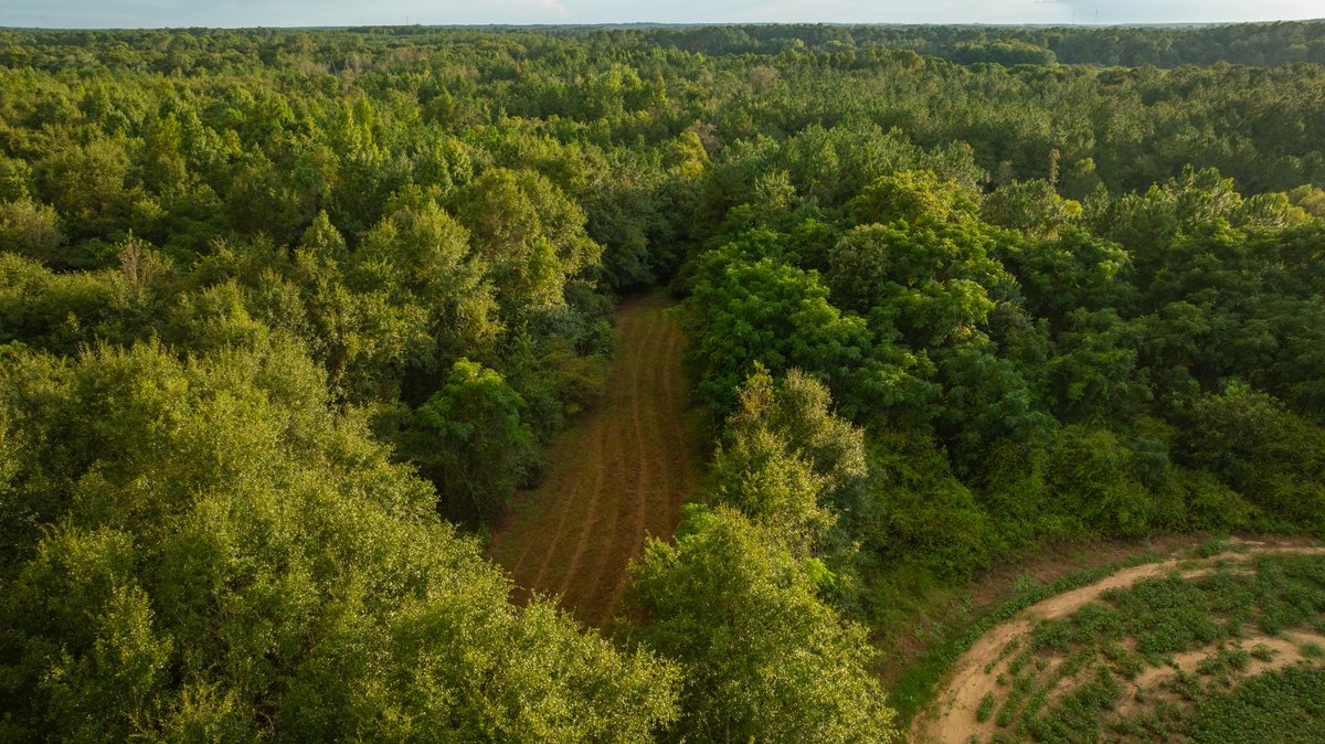 Image for The Moore Farm - 258± Acres - Row Crop Farmland, Timber, Creek Bottoms, & Food Plots - Premier Recreational Tracts w/ Improvements