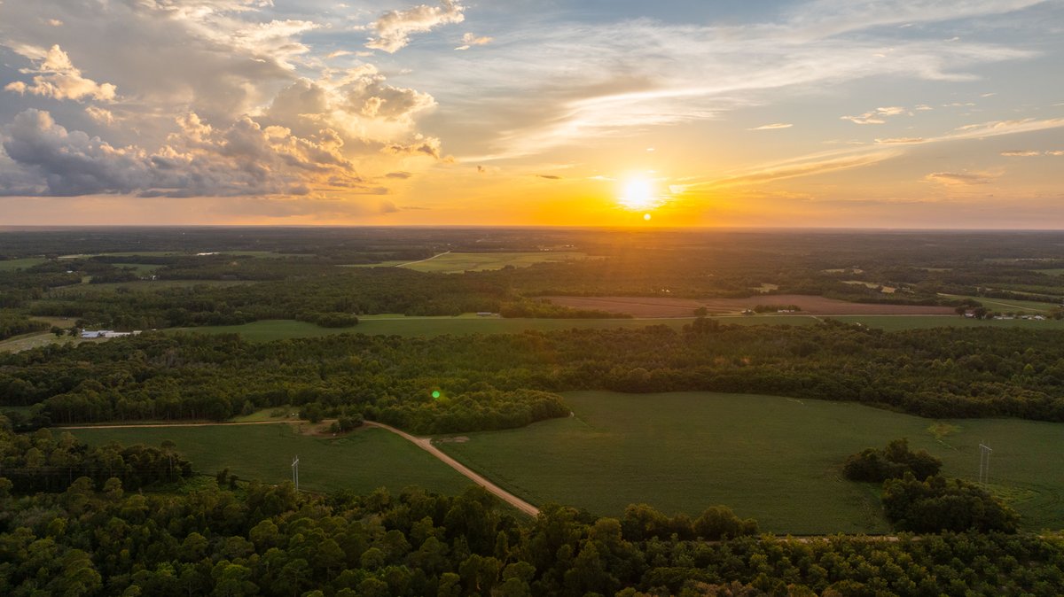 Image for The Moore Farm - 258± Acres - Row Crop Farmland, Timber, Creek Bottoms, & Food Plots - Premier Recreational Tracts w/ Improvements