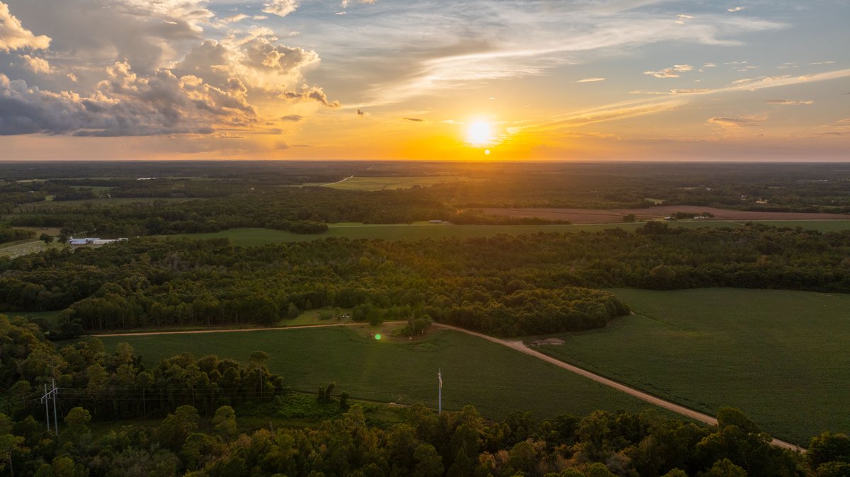 Image for The Moore Farm - 258± Acres - Row Crop Farmland, Timber, Creek Bottoms, & Food Plots - Premier Recreational Tracts w/ Improvements