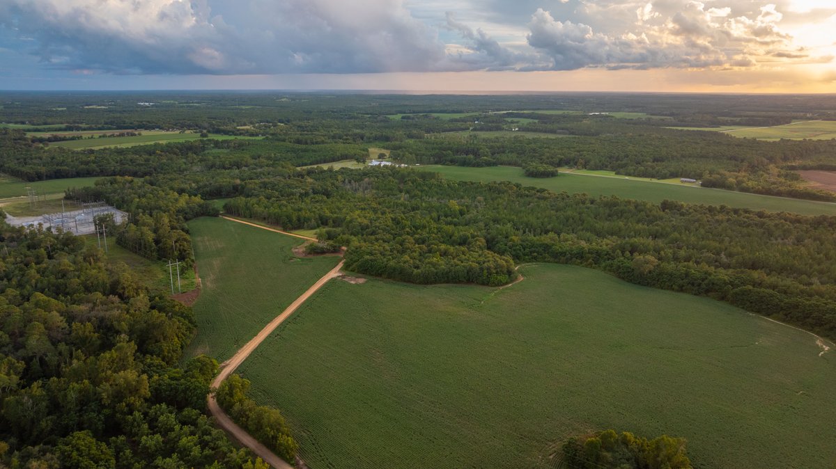 Image for The Moore Farm - 258± Acres - Row Crop Farmland, Timber, Creek Bottoms, & Food Plots - Premier Recreational Tracts w/ Improvements