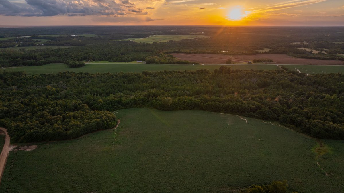 Image for The Moore Farm - 258± Acres - Row Crop Farmland, Timber, Creek Bottoms, & Food Plots - Premier Recreational Tracts w/ Improvements