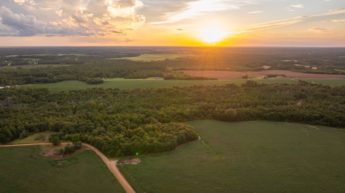 Image for The Moore Farm - 258± Acres - Row Crop Farmland, Timber, Creek Bottoms, & Food Plots - Premier Recreational Tracts w/ Improvements